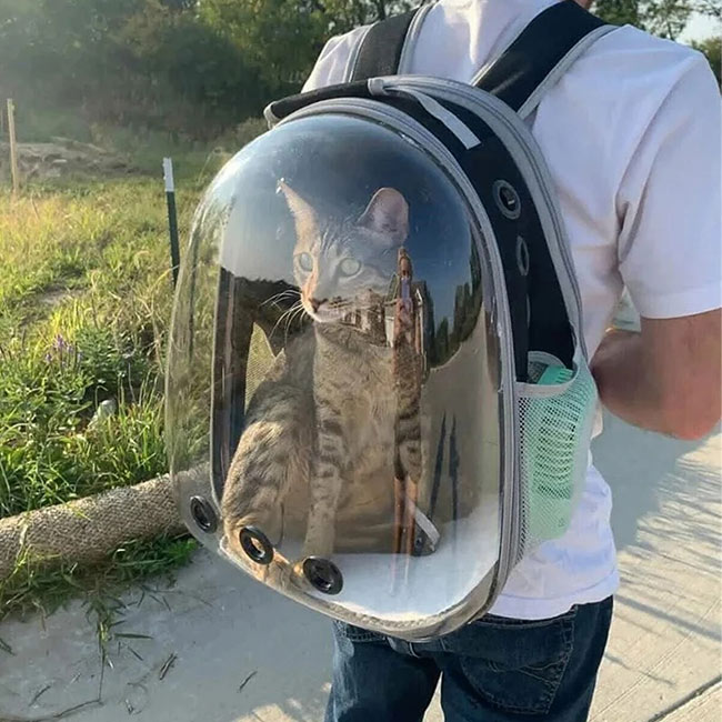 Pet Carrier BackPack