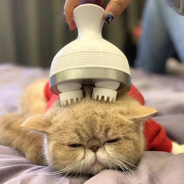 Electric Pet Massager